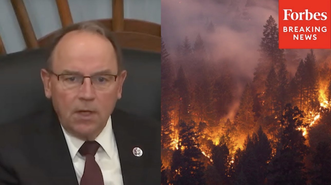 'Delay... Equals Death': Tom Tiffany Throws Support Behind Bill On Prescribed Forest Burns
