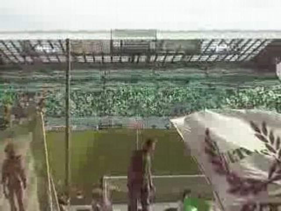 Alé allé lé vert allé