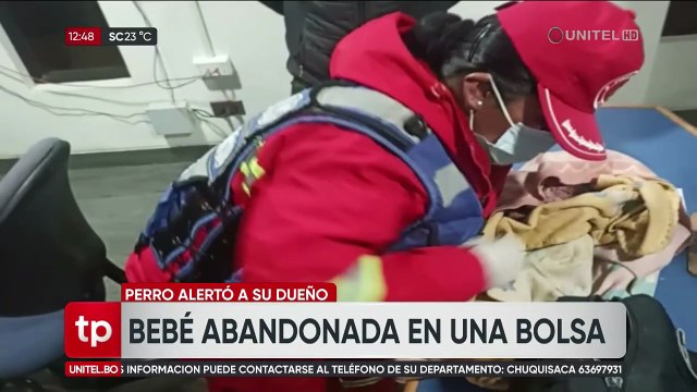 Héroe de cuatro patas: perro salva la vida de una recién nacida abandonada en medio de la basura en El Alto