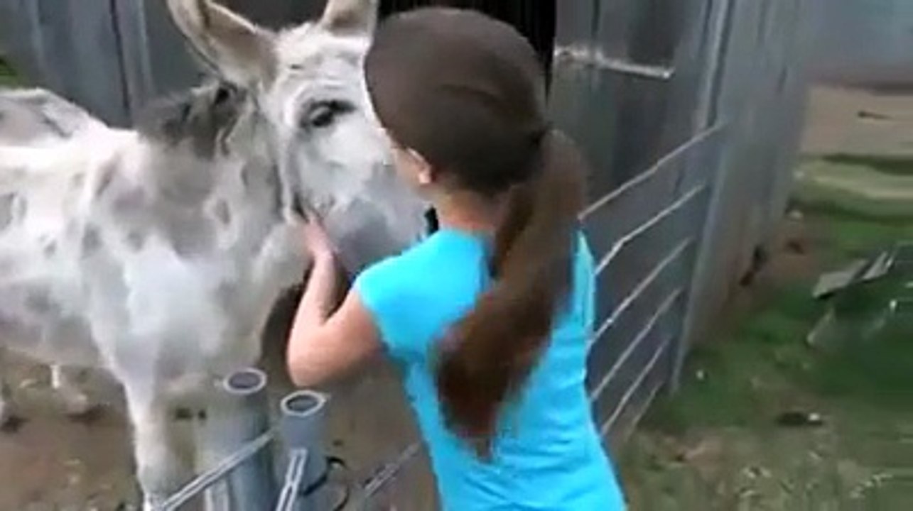Rivede la ragazza che lo ha cresciuto! La reazione dellasino è commovente!