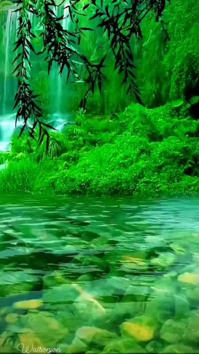 Islamic videos beautiful