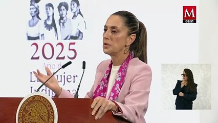 Sheinbaum hace un llamado a EU de garantizar el estado de derecho tras redadas en California