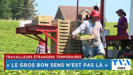 TVA Nouvelles CHAU 18h 7 août 2025