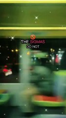 You can have a beta or an alpha #BR3 #lesson #motivation #mindsetcoach #success