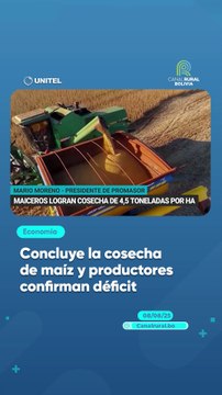 Concluye la cosecha de maíz y productores confirman déficit