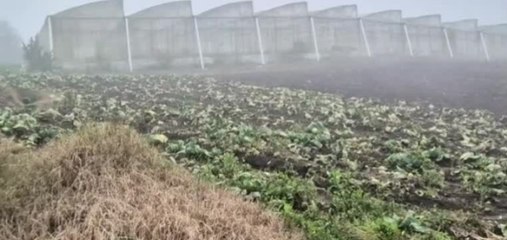 Productores y MiAmbiente se reúnen por el uso de tierras en Barú