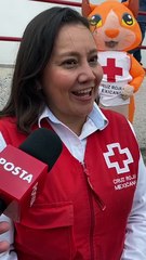 Cruzberto, el gato de la Cruz Roja en Toluca