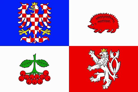 Flag of Vysocina Region. Bendera Daerah Vysocina. Vysocina Region Flag. Flag of Region of Vysocina. Region of Vysocina Flag. Vlajka kraje Vysočina. Drapeau de la région de Vysočina. Bandeira da região de Vysočina. Bandera de la región de Vysočina