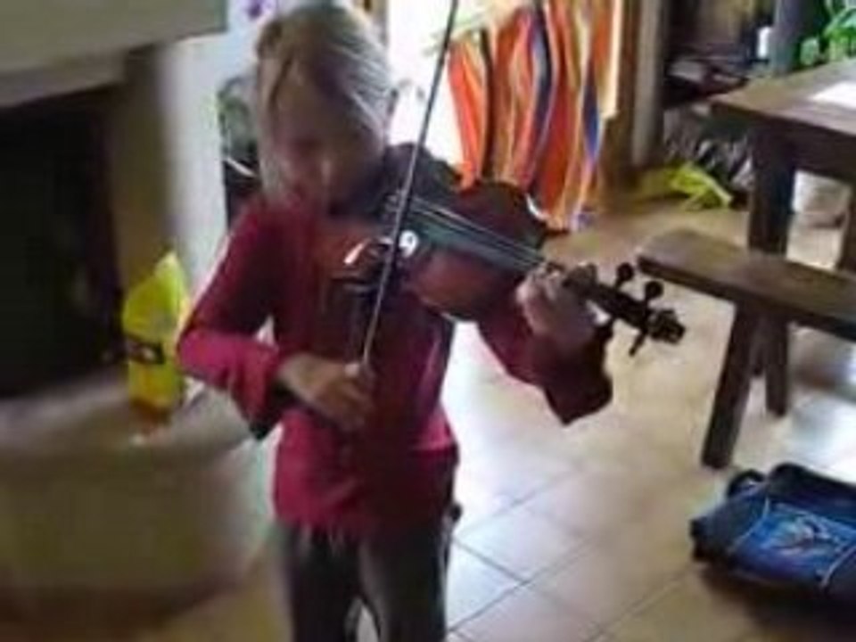 Violon