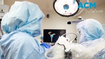 Robotic surgery takes place at Townsville hospital