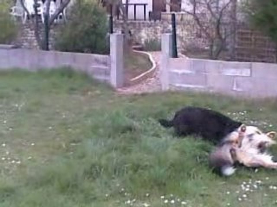 bounty alto et kiki
