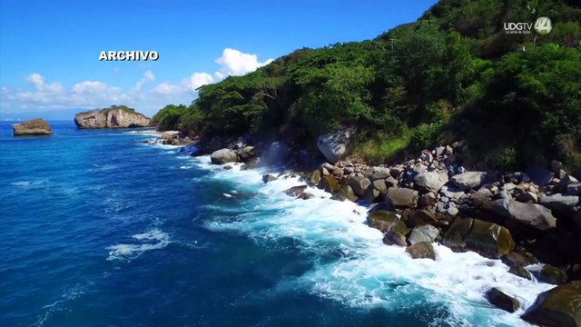 Buscan liberar a 544 mil crías de tortuga; cumple 40 años el programa de conservación de UdeG