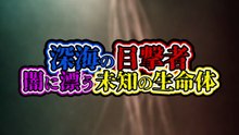深海の目撃者 闇に漂う未知の生命体