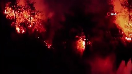 Orman yangını büyürken onlar kamp sandalyesinde alevleri izledi!