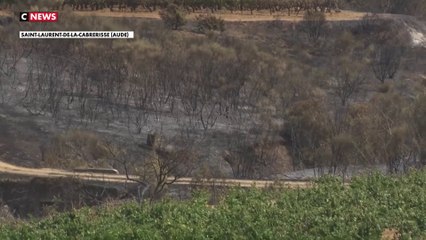 Incendie meurtrier dans l'Aude : «En 24 heures, j'ai plus rien», témoigne un viticulteur de Saint-Laurent-de-la-Cabrerisse