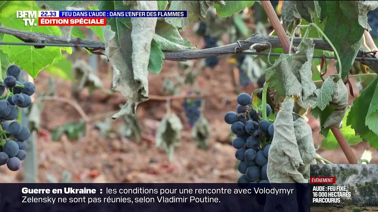 Incendie dans l'Aude  : Retour sur le combat des pompiers au plus près du feu qui ont lutté non stop pendant des dizaines d'heures