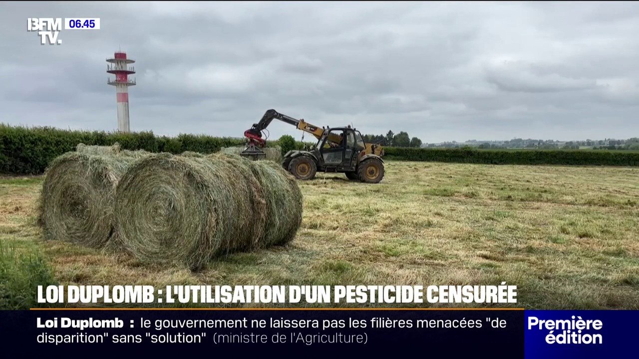 Après la censure partielle de la loi Duplomb, le monde agricole est divisé