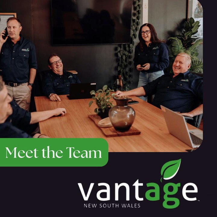 Meet the team