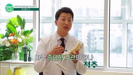 한번 무너지면 와르르 몸을 떠받치고 있는 척추