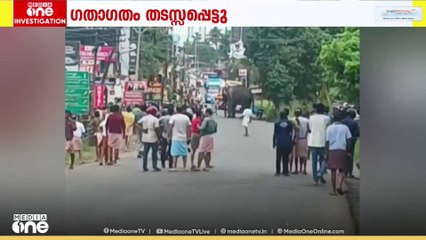 തൃശ്ശൂരിൽ ആന ഇടഞ്ഞു; ഗതാഗതം തടസ്സപ്പെട്ടു