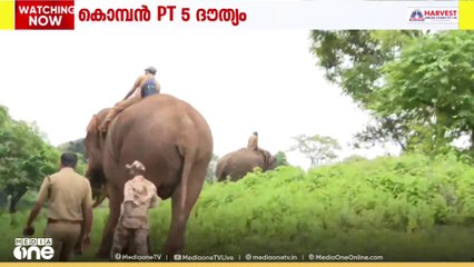 കണ്ണിനു പരിക്കേറ്റ പാലക്കാട്ടെ PT 5  ആനയെ   മയക്കുവെടിവെച്ച്  ചികിത്സ നൽകി