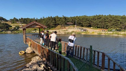 Burayı bilenler çok şanslı: Hem gölet hem yayla havası bir arada
