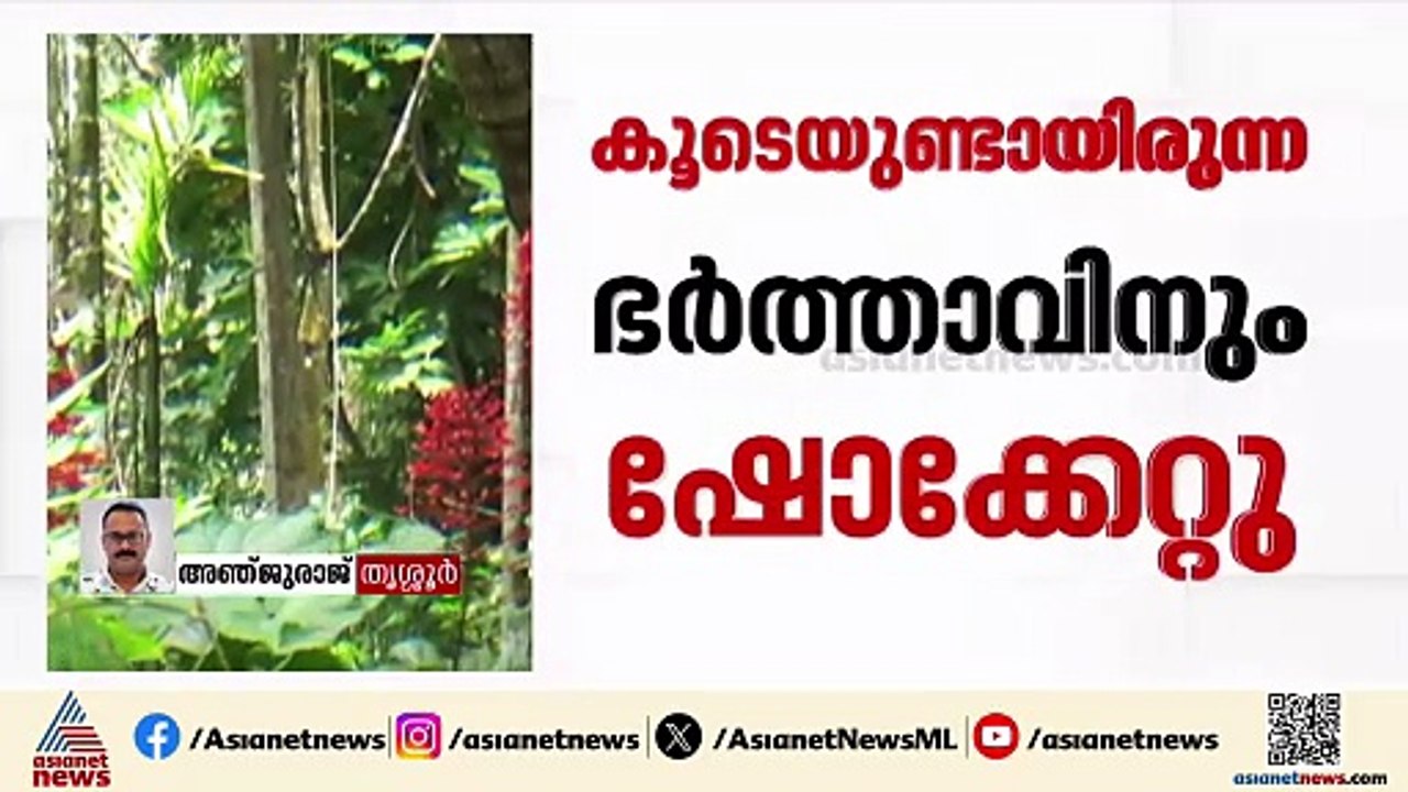 കൃഷിയിടത്തിൽ പൊട്ടിവീണ വൈദ്യുതി ലൈനിൽ നിന്ന് ഷോ...