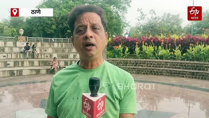 पर्यावरणपूरक गणेशोत्सव केवळ कागदावरच! मुख्यमंत्री, पर्यावरणमंत्र्यांना भावनिक सवाल