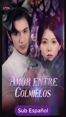[SUB ESPAÑOL] Amor Entre Colmillos serie completa