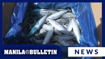 BOC, DA seize ₱200-M smuggled frozen mackerel at Port Manila