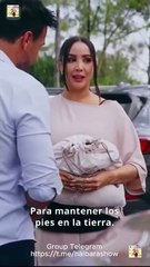 Modo Millonaria Completo Shorts