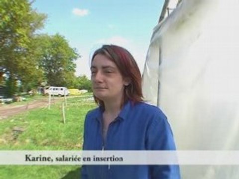 Pourquoi se retrouve-t-on salarié en insertion ?