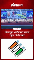 निवडणूक आयोगावर सवाल करत राहुल गांधींनी थेट सुनावलं