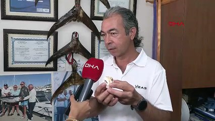 Mavi cennetlerimizdeki 3'üncü istilacı tür için de alarmı çanları çalıyor!