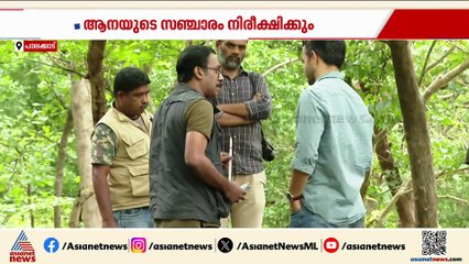കണ്ണിന് പരിക്കേറ്റ PT 5 കൊമ്പന് ചികിത്സ നൽകി റേഡിയോ കോളർ ഘടിപ്പിച്ച ശേഷം കാട്ടിലേക്ക് വിട്ടു