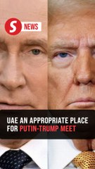 Putin: UAE is one of the appropriate places to meet Trump
