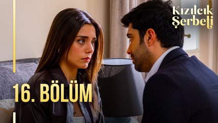 Kızılcık Şerbeti 16. Bölümde Şaşırtıcı Anlar ve Büyük Sürprizler 🎬