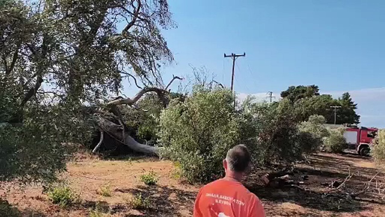 Δασεργάτες και Πυροσβεστική πρόλαβαν φωτιά στην Β. Εύβοια