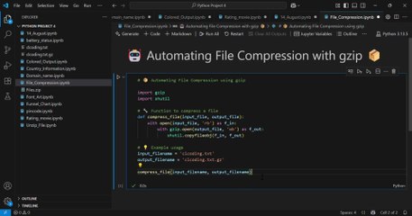 How to Compress a File Using Python _ Gzip File Compression