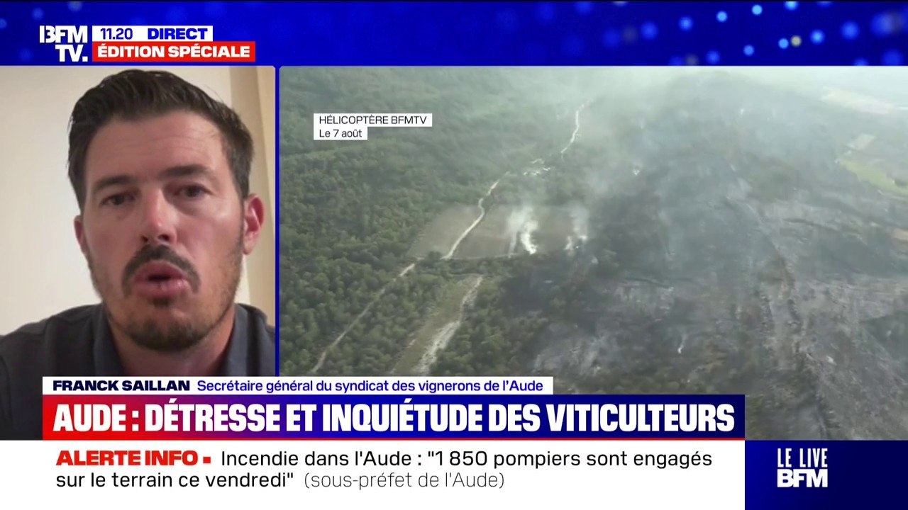 Feu fixé dans l’Aude: “Trouver des solutions pour les vignerons qui ont perdu leur production et qui ne pourront pas vendanger car ça ne rentre pas dans le système assurantiel”, explique le secrétaire général du syndicat des vignerons de l’Aude