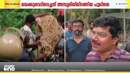 അമ്പൂരിയിലിറങ്ങിയ  പുലിയെ മയക്കുവെടിവെച്ച്  പിടികൂടി...