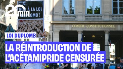 Le Conseil constitutionnel censure la réintroduction d’un pesticide interdit