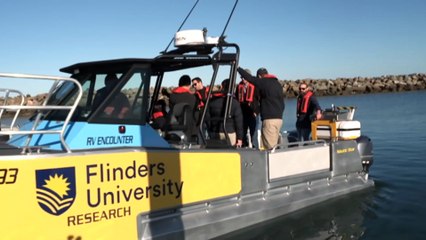 Hundreds of residents attend forum on how to live with algal bloom