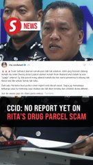 Cops urge businesswoman to come forward over drug parcel scam allegations