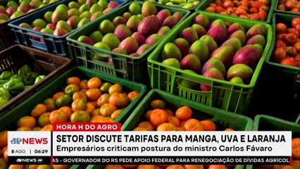 Fruticultura se une contra tarifaço e cobra Carlos Fávaro; Mariana Grilli comenta
