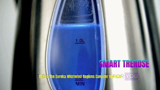 Top 3 Best Canister Vacuum Cleaners for Home 2025 Amazon Must-Have Picks!