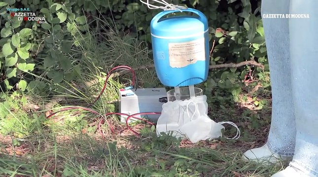 West Nile, le trappole dell'Ausl Modena per catturare le zanzare e scovare il virus: ecco come funzionano