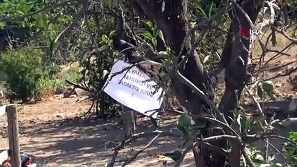 Babasının kucağındayken sevmek istediği atın saldırdığı çocuk ölümden döndü