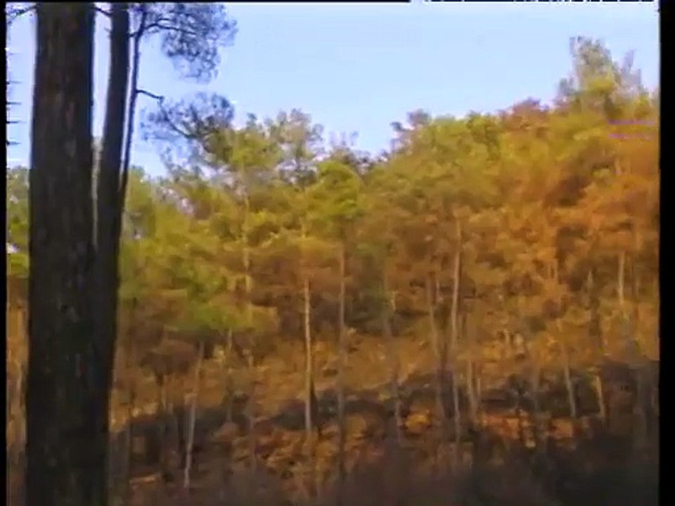 Barış Manço - Dağlar Dağlar