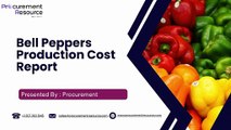 Bell Pepper Production Cost Analysis Report